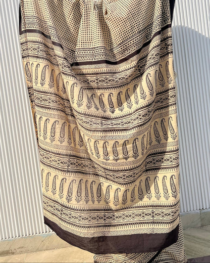 Styling inspiration for traditional Bagru cotton saree showing contrast printed pallu layout